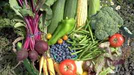 Produce Shot for Farmers Market